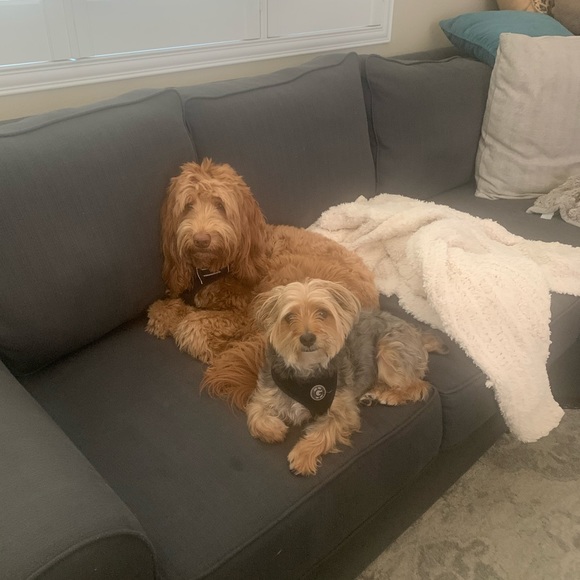 Meet your Posher, Joanne - Picture 1 of 1